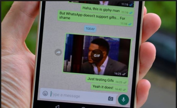 gif on WhatsApp