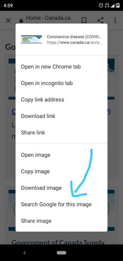 How To Perform Reverse Image Search On IOS