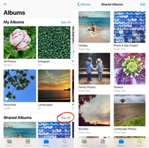Create A Shared Album on iCloud Family Sharing