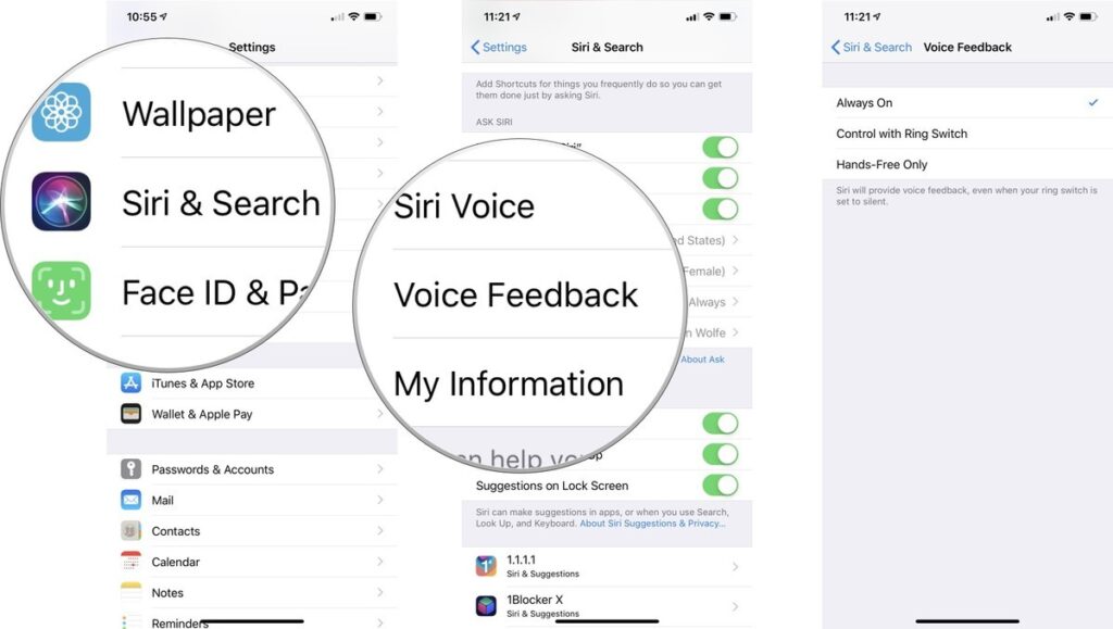 customize Siri voice feedback