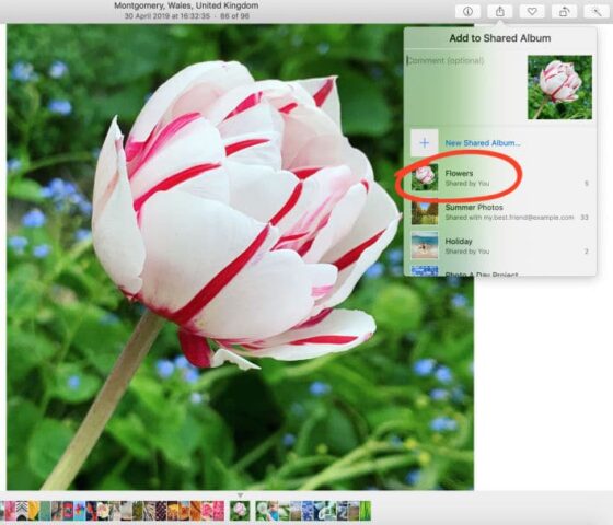 Use iCloud Photo Sharing On A Mac Computer