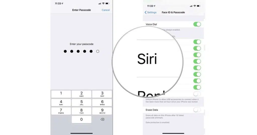 secure Siri on your iPhone and iPad with a Passcode Lock