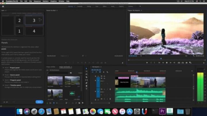 Paid Video Editing Software