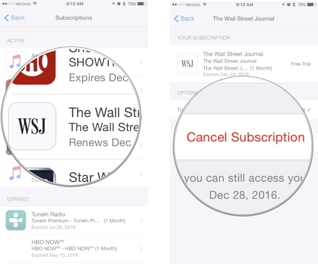 cancel an App Store or News+ subscription on an iPhone or iPad