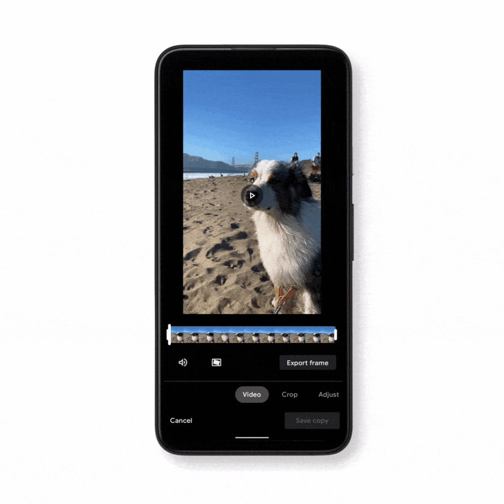 google photos videos