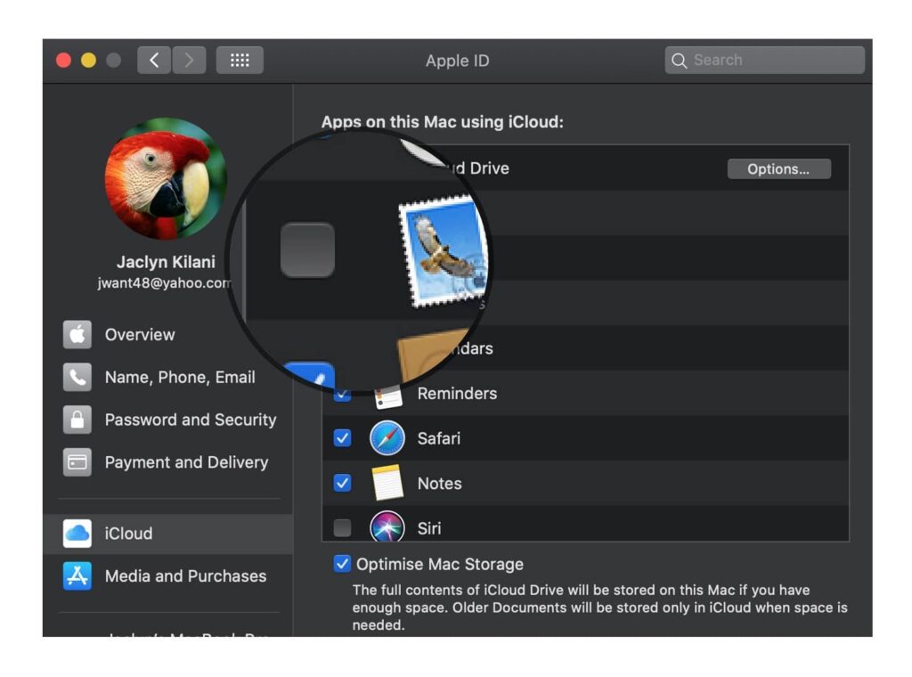 giving or revoking access for third-party apps to iCloud