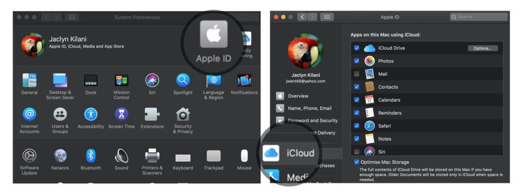 giving or revoking access for third-party apps to iCloud