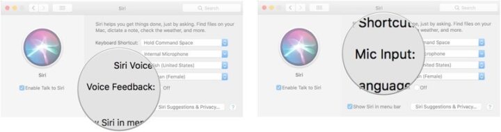 How to use Siri on your Mac?