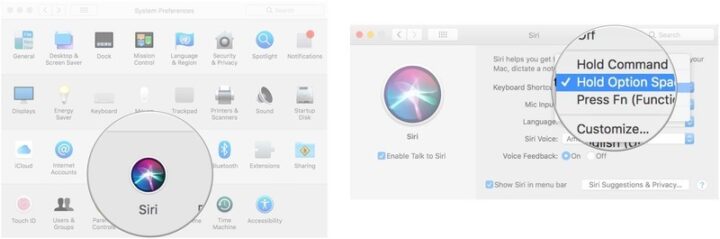 Use Siri on the Mac