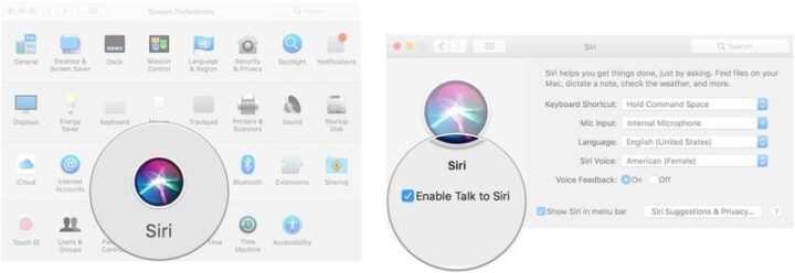 How to use Siri on your Mac?