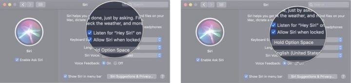 Use Siri on the Mac