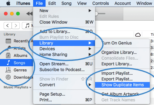 Search and delete duplicate songs in your iTunes library!