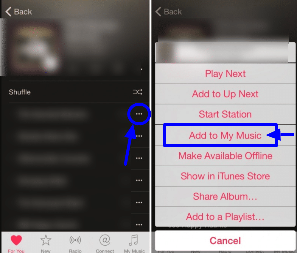 playlists in apple music -make playlists in music app
