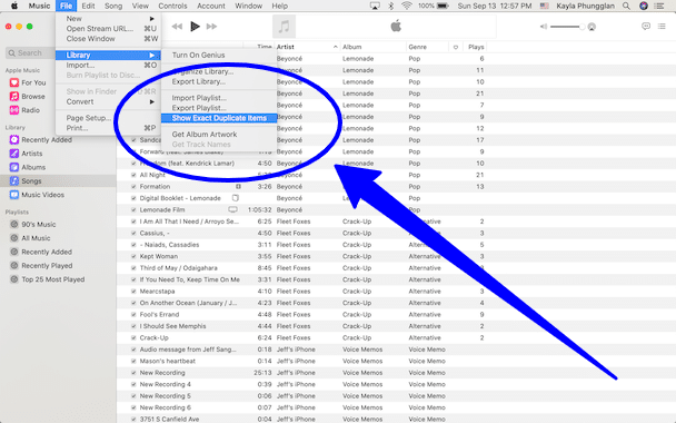 Search and delete duplicate songs in your iTunes library!