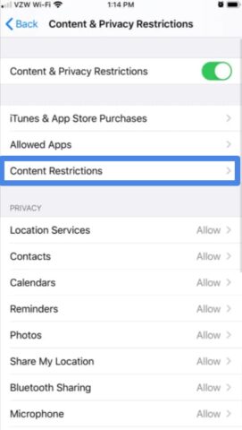 Use and set Parental Controls on iPhone