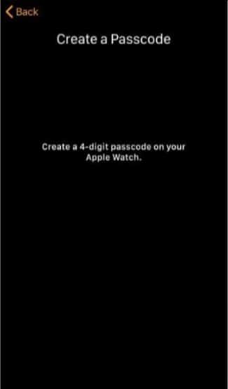 set up a new Apple Watch