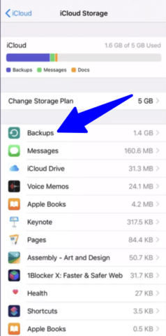 manage iCloud storage iPad/iPhone