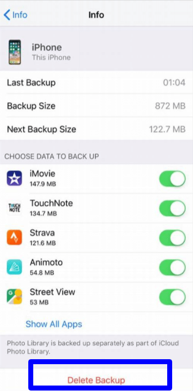 manage iCloud storage iPad/iPhone