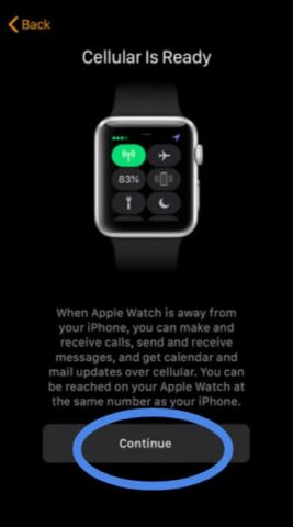 set up a new Apple Watch