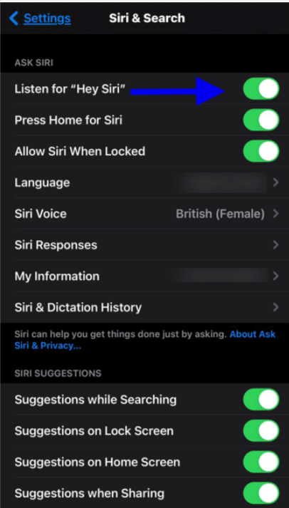 iOS Settings-Formatting text, Controlling key sounds, Picture-in-Picture, Siri and more!