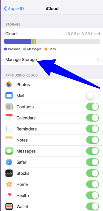 manage iCloud storage iPad