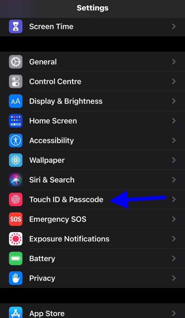 iOS Settings-Formatting text, Controlling key sounds, Picture-in-Picture, Siri and more!