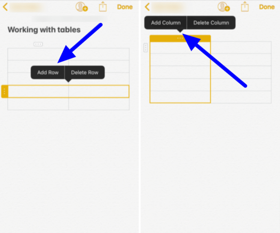 Format Notes on iPad and iPad