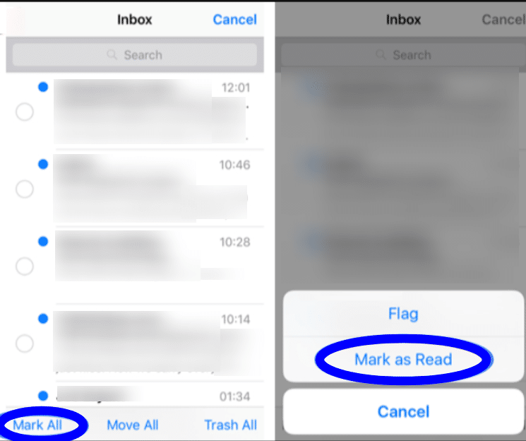 Manage various features in Mail App on iPhone and iPad!