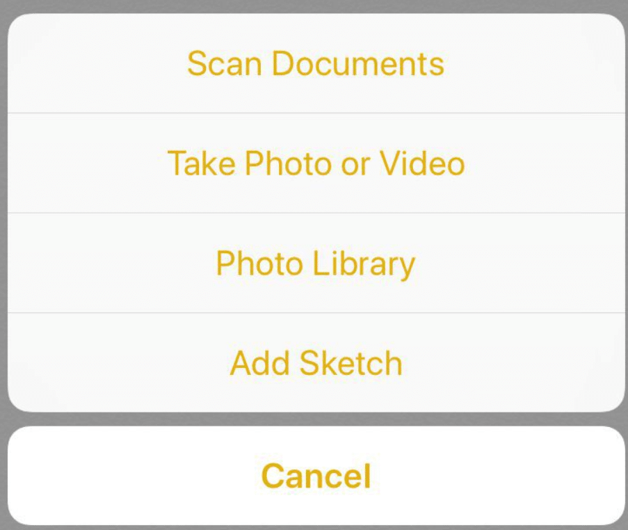 Adding photos, videos, scans, and sketches to the Notes app isn't a glitch anymore!