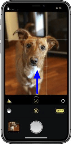 Shoot RAW photos on your iPhone