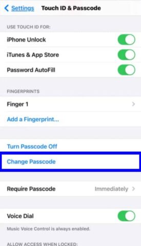 All about passcode settings on iPhone/ iPad!