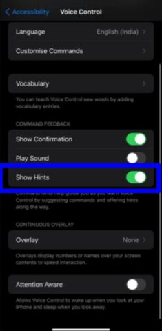 Using Voice Control on iPhone and iPad!