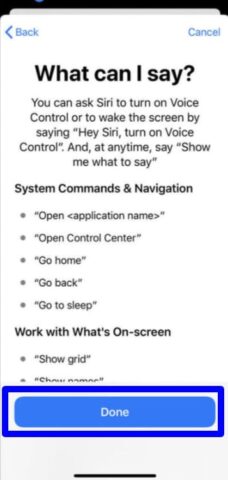 Use Voice Control 