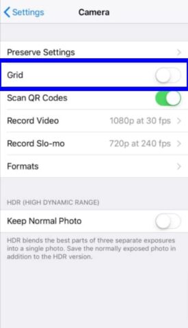 Lock exposure, adjust brightness enable gridlines and geo-locate on iPhone/iPad!