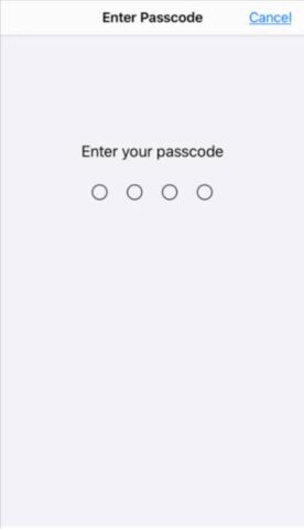 All about passcode settings on iPhone/ iPad!