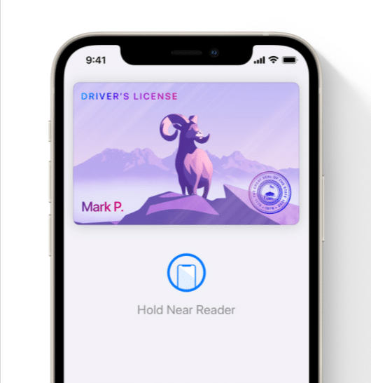 ios 15 beta Shareplay