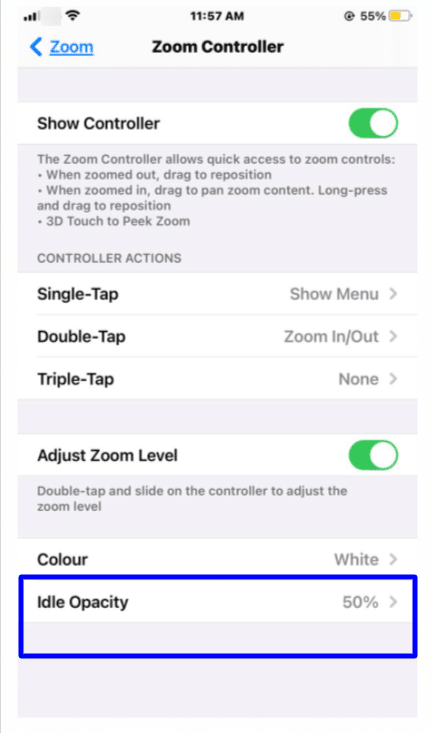 zoom features zoom controller idle opacity 