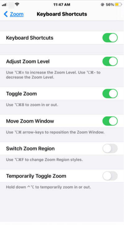 zoom accessibility iPhone  keyboard shortcuts 