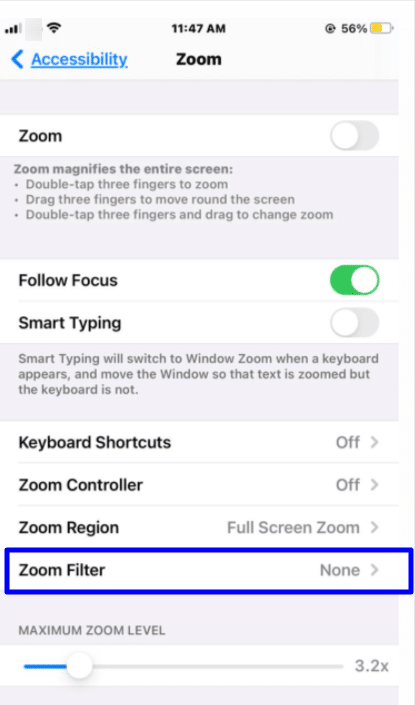 zoom accessibility iPhone zoom filter