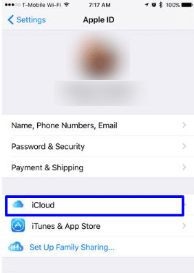 Manage iCloud sync permissions on iPhone and iPad