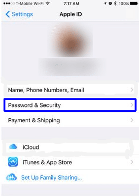 View password and security information on iPhone and iPad