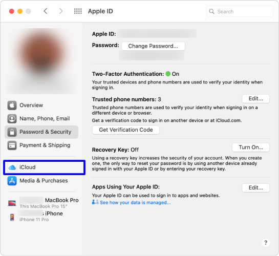 Manage iCloud sync permissions on Mac