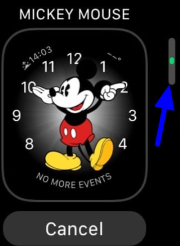 add and remove watch faces