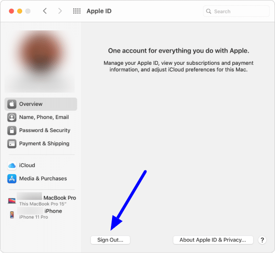 Sign out of iCloud on Mac