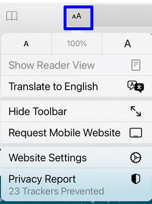 safari iphone translate page