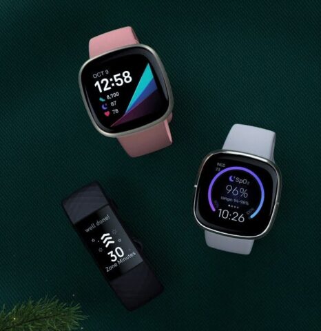 Fitbit device