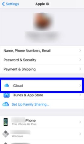 use iCloud Drive