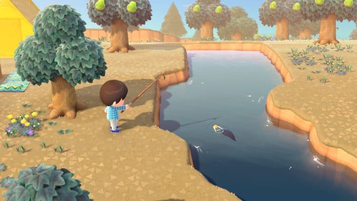 Catch fish in Animal Crossing New Horizons