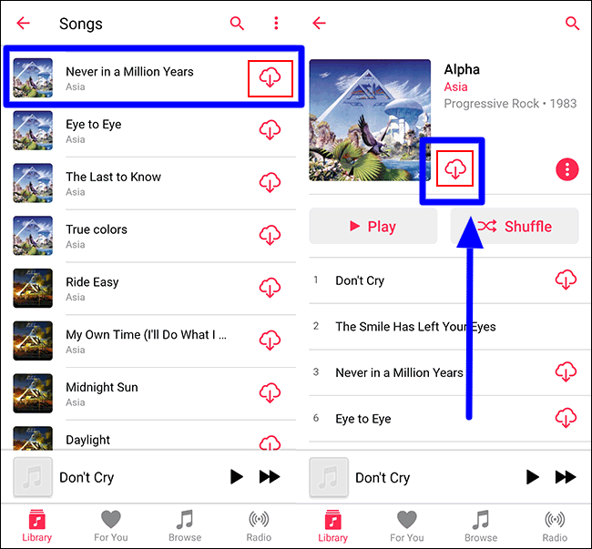 cloud icone for download song in iPhone