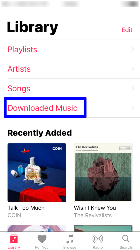 Now you can listen music offline on your iPhone, iPad, or iPod touch!